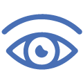 vision icono